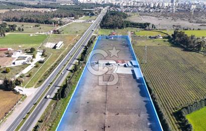 TORBALI ANAYOLA 600M CEPHELİ SATILIK AT ÇİFLİĞİ