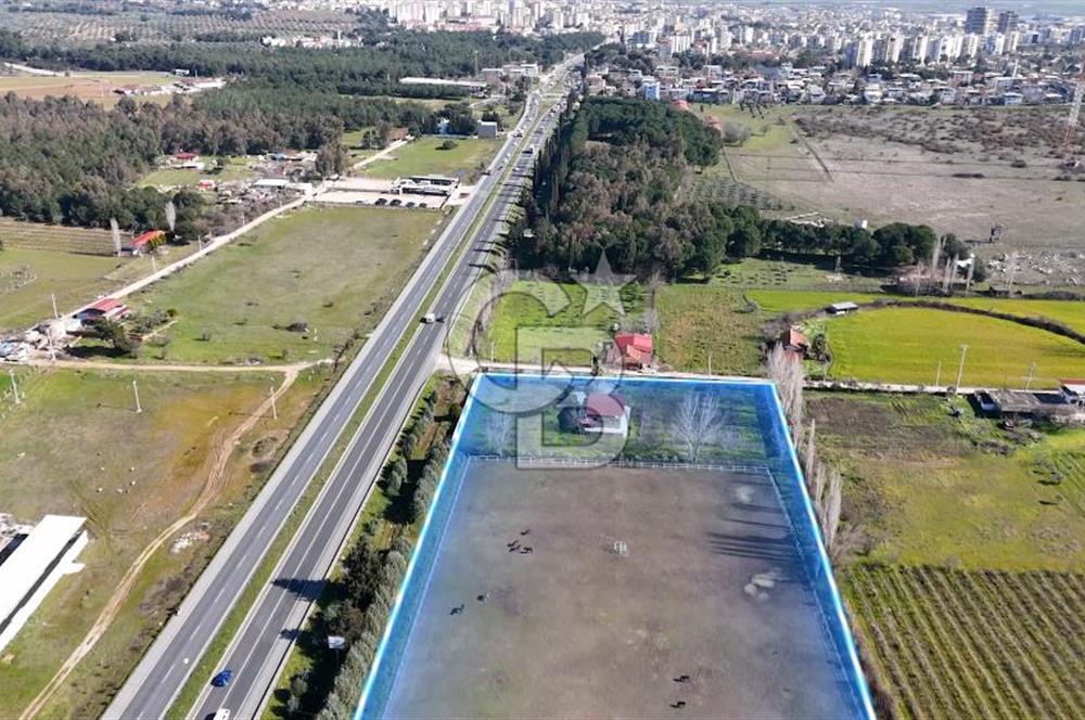 TORBALI ANAYOLA 600M CEPHELİ SATILIK AT ÇİFLİĞİ