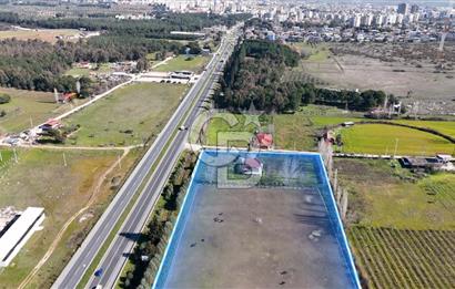 TORBALI ANAYOLA 600M CEPHELİ SATILIK AT ÇİFLİĞİ