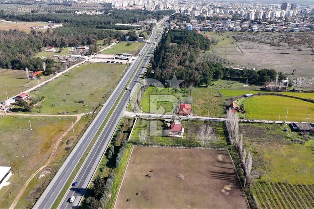 TORBALI ANAYOLA 600M CEPHELİ SATILIK AT ÇİFLİĞİ