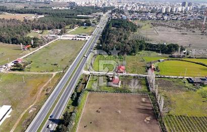 TORBALI ANAYOLA 600M CEPHELİ SATILIK AT ÇİFLİĞİ