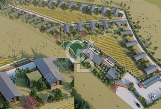 BAYRAMİÇ'TE 31.011 m² PROJELENDİRİLMİŞ ARSA