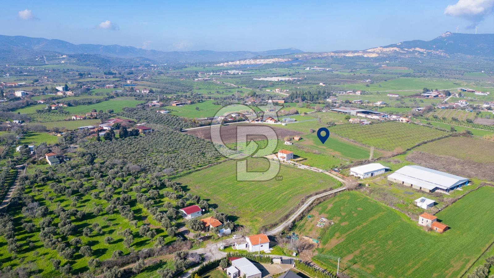 Foça Bağarası Hacıveli Mahallesinde Merkeze Yakın Satılık Tarla