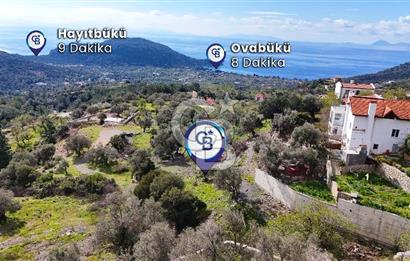 Datça Mesudiye'de Satılık Deniz Manzaralı Zeytinlik