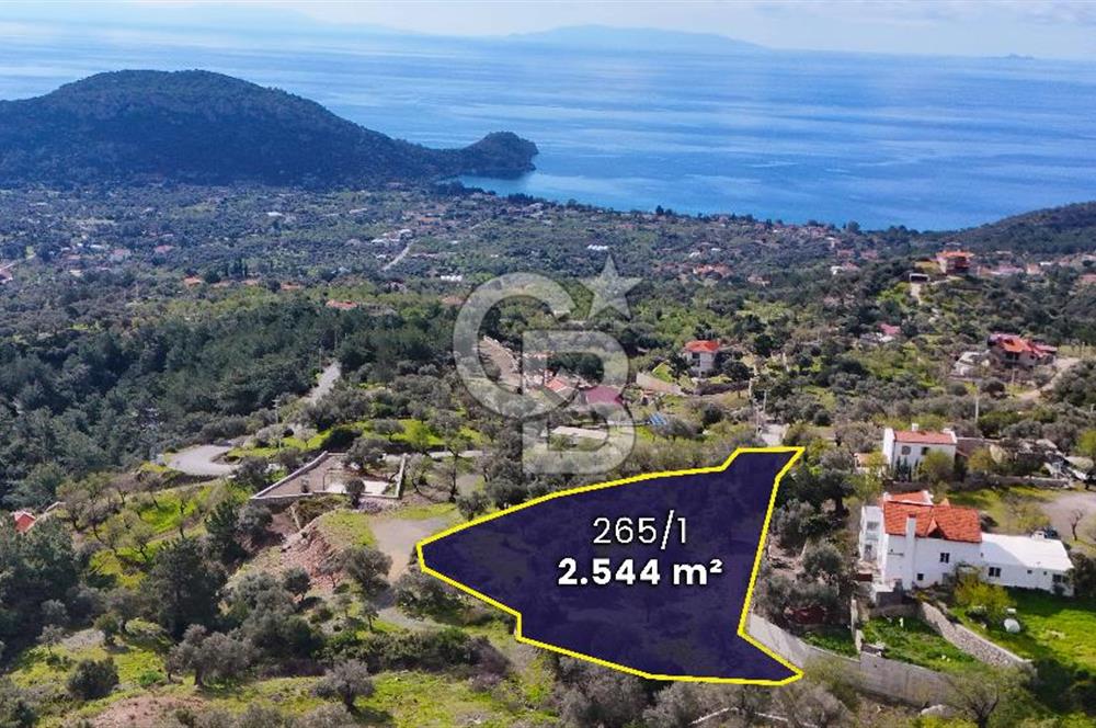 Datça Mesudiye'de Satılık Deniz Manzaralı Zeytinlik