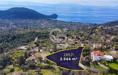 Datça Mesudiye'de Satılık Deniz Manzaralı Zeytinlik
