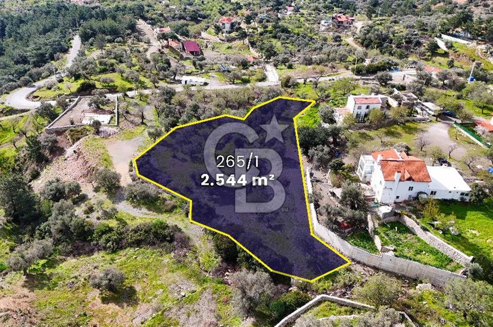 Datça Mesudiye'de Satılık Deniz Manzaralı Zeytinlik