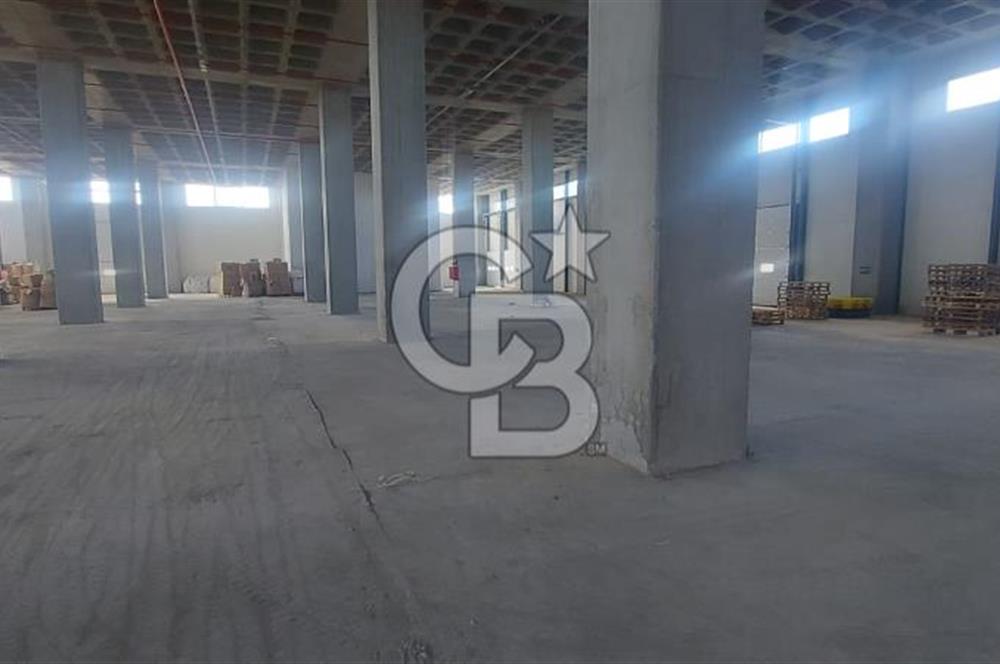 Hadımköy Ömerli Kiralık 4.300 M2 Tır Girişli Depo