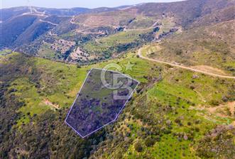 Karaburun Sarpıncık'ta 11.719 m2 Satılık Tarla