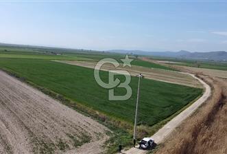 Foça Gerenköy Satılık TARLA