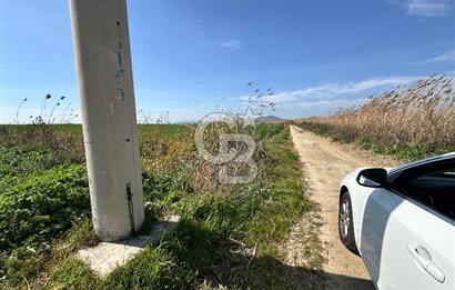 Foça Gerenköy Satılık TARLA