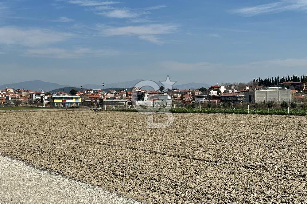 Foça Gerenköy Satılık TARLA