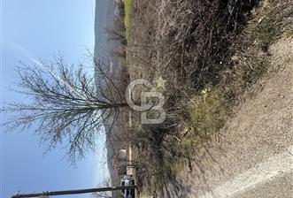 ASFALT CEPHE 574 M2 KUPON YER KAÇMAZ FIRSAT !!