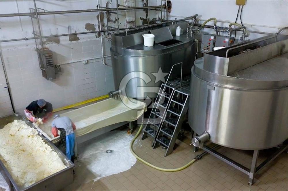 KIRŞEHİR OSB'DE SATILIK, 100 TON KAPASİTELİ SÜT ÜRÜNLERİ TESİSİ