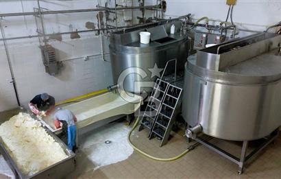 KIRŞEHİR OSB'DE SATILIK, 100 TON KAPASİTELİ SÜT ÜRÜNLERİ TESİSİ