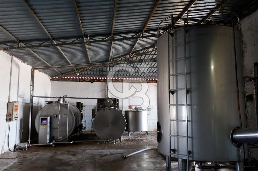 KIRŞEHİR OSB'DE SATILIK, 100 TON KAPASİTELİ SÜT ÜRÜNLERİ TESİSİ