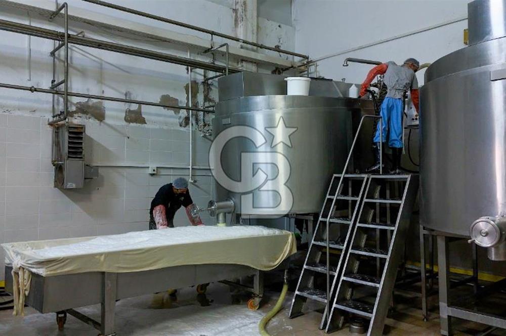 KIRŞEHİR OSB'DE SATILIK, 100 TON KAPASİTELİ SÜT ÜRÜNLERİ TESİSİ
