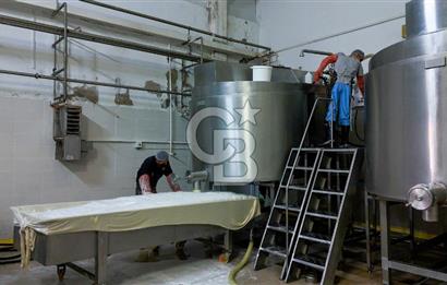 KIRŞEHİR OSB'DE SATILIK, 100 TON KAPASİTELİ SÜT ÜRÜNLERİ TESİSİ