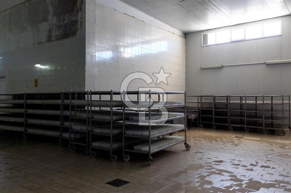 KIRŞEHİR OSB'DE SATILIK, 100 TON KAPASİTELİ SÜT ÜRÜNLERİ TESİSİ