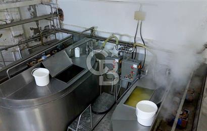 KIRŞEHİR OSB'DE SATILIK, 100 TON KAPASİTELİ SÜT ÜRÜNLERİ TESİSİ