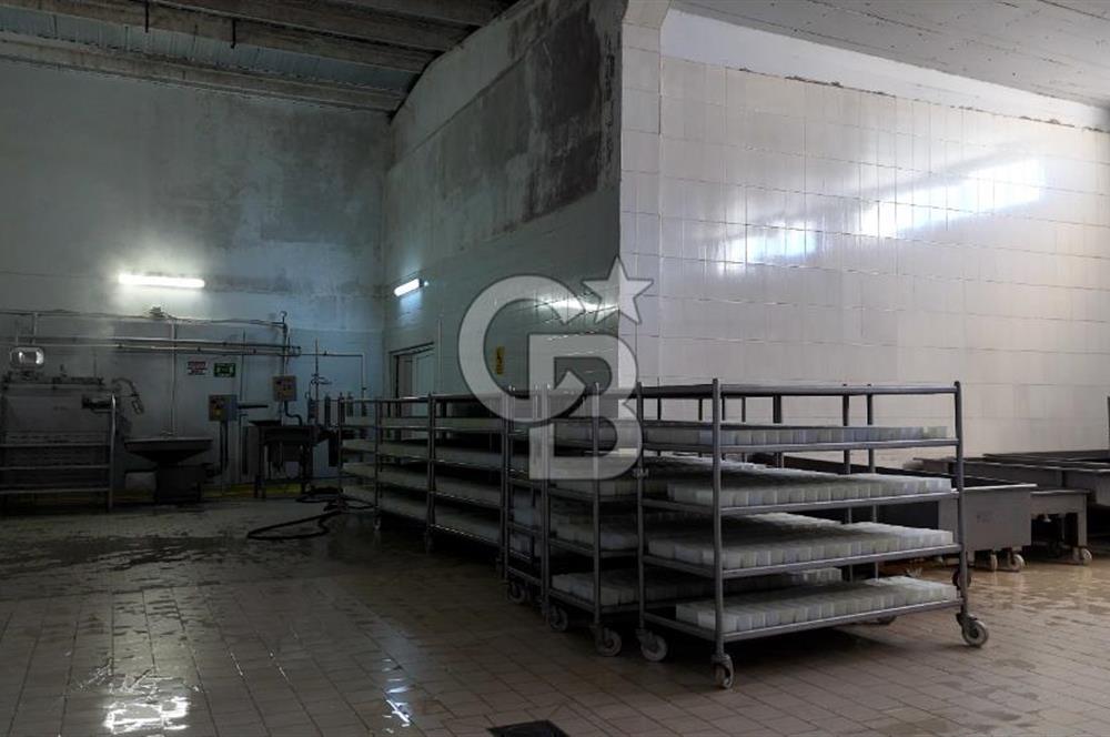 KIRŞEHİR OSB'DE SATILIK, 100 TON KAPASİTELİ SÜT ÜRÜNLERİ TESİSİ