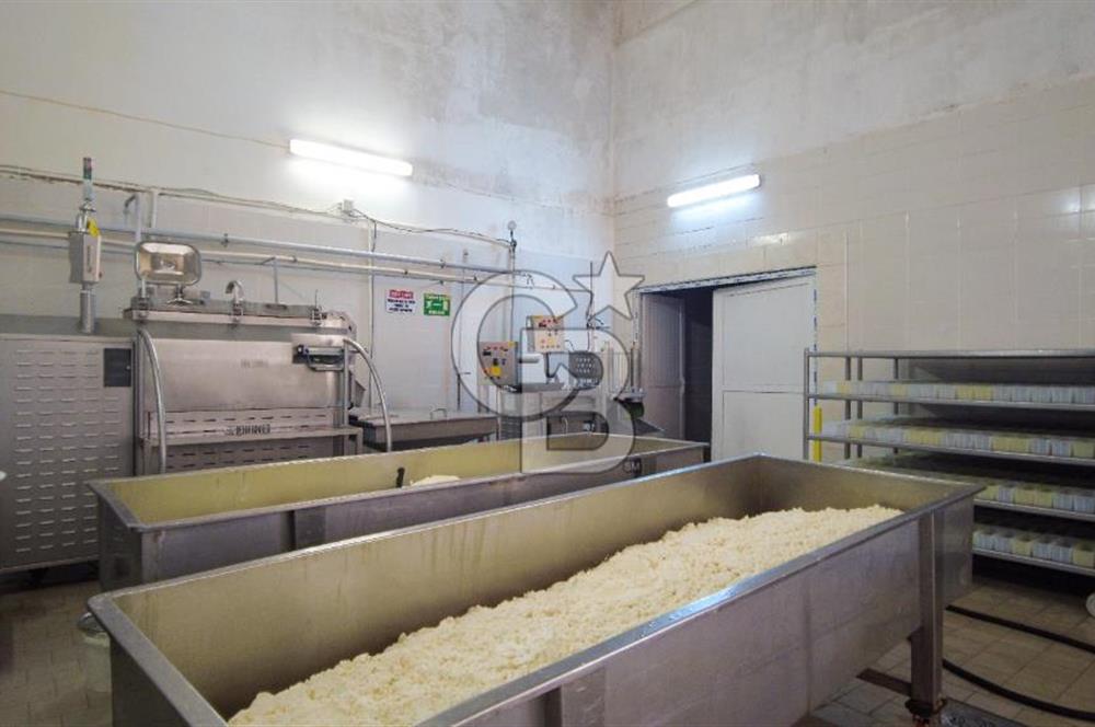 KIRŞEHİR OSB'DE SATILIK, 100 TON KAPASİTELİ SÜT ÜRÜNLERİ TESİSİ
