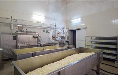 KIRŞEHİR OSB'DE SATILIK, 100 TON KAPASİTELİ SÜT ÜRÜNLERİ TESİSİ