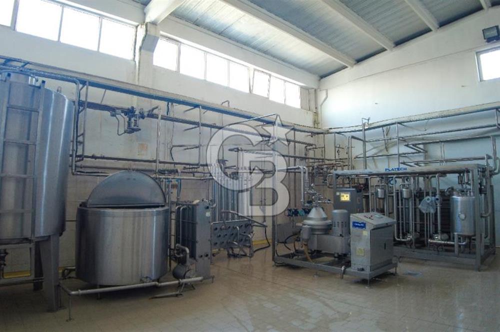 KIRŞEHİR OSB'DE SATILIK, 100 TON KAPASİTELİ SÜT ÜRÜNLERİ TESİSİ