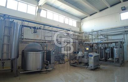 KIRŞEHİR OSB'DE SATILIK, 100 TON KAPASİTELİ SÜT ÜRÜNLERİ TESİSİ