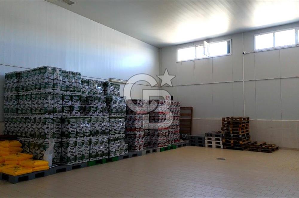 KIRŞEHİR OSB'DE SATILIK, 100 TON KAPASİTELİ SÜT ÜRÜNLERİ TESİSİ