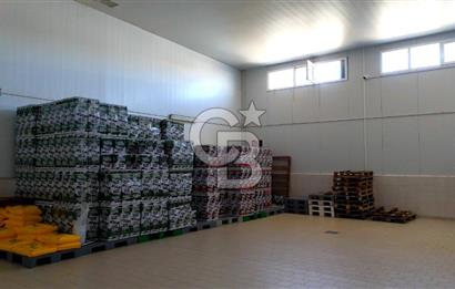 KIRŞEHİR OSB'DE SATILIK, 100 TON KAPASİTELİ SÜT ÜRÜNLERİ TESİSİ