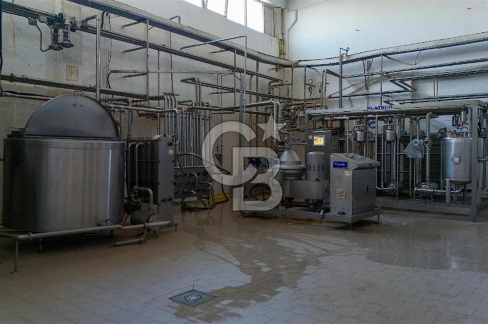 KIRŞEHİR OSB'DE SATILIK, 100 TON KAPASİTELİ SÜT ÜRÜNLERİ TESİSİ