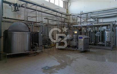 KIRŞEHİR OSB'DE SATILIK, 100 TON KAPASİTELİ SÜT ÜRÜNLERİ TESİSİ
