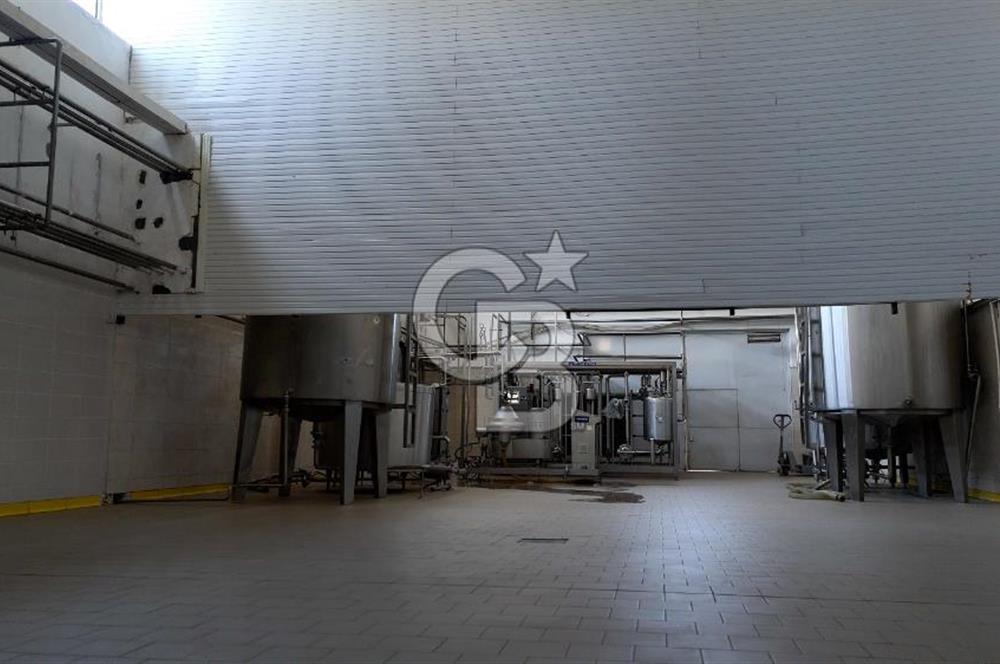 KIRŞEHİR OSB'DE SATILIK, 100 TON KAPASİTELİ SÜT ÜRÜNLERİ TESİSİ