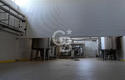KIRŞEHİR OSB'DE SATILIK, 100 TON KAPASİTELİ SÜT ÜRÜNLERİ TESİSİ