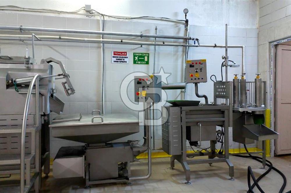 KIRŞEHİR OSB'DE SATILIK, 100 TON KAPASİTELİ SÜT ÜRÜNLERİ TESİSİ