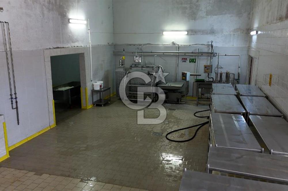 KIRŞEHİR OSB'DE SATILIK, 100 TON KAPASİTELİ SÜT ÜRÜNLERİ TESİSİ