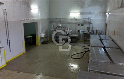 KIRŞEHİR OSB'DE SATILIK, 100 TON KAPASİTELİ SÜT ÜRÜNLERİ TESİSİ