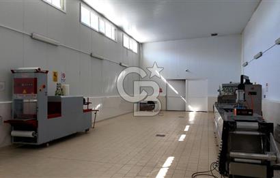 KIRŞEHİR OSB'DE SATILIK, 100 TON KAPASİTELİ SÜT ÜRÜNLERİ TESİSİ