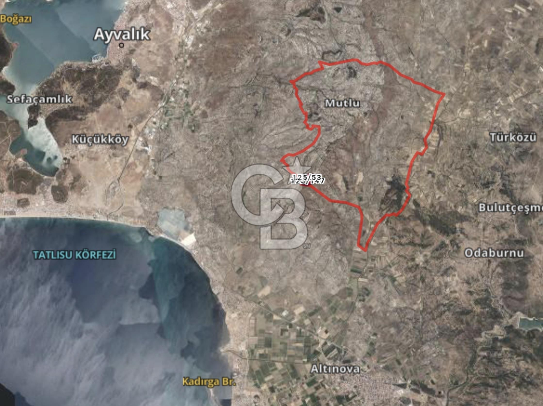 Balıkesir Ayvalık Satılık Zeytinlik