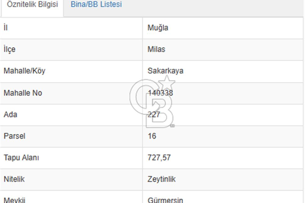 MİLAS SAKARKAYA'DA YOLA SIFIR ZEYTİNLİK