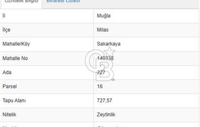 MİLAS SAKARKAYA'DA YOLA SIFIR ZEYTİNLİK