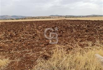 Bekilli Kutlubey de 2815 M² Satılık Arazi