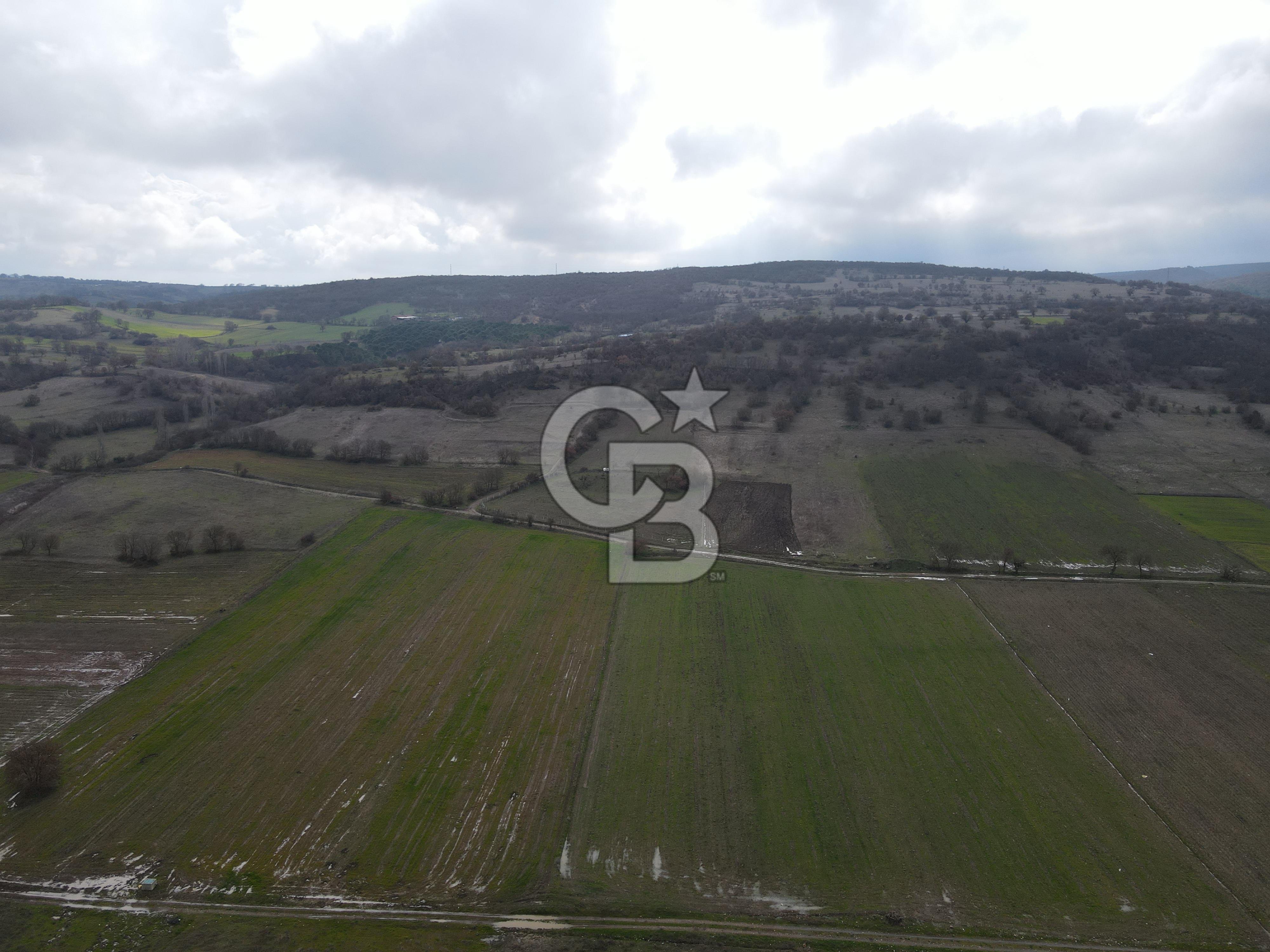 CB EAGLE'DAN GÖKÇEYAZI'DA EDREMİT YOLU YAKINI SATILIK TARLA