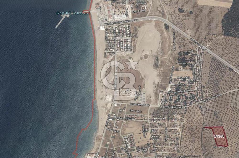 Çanakkale Geyikli'de Satılık Zeytinlik! Bozcaada Manzaralı