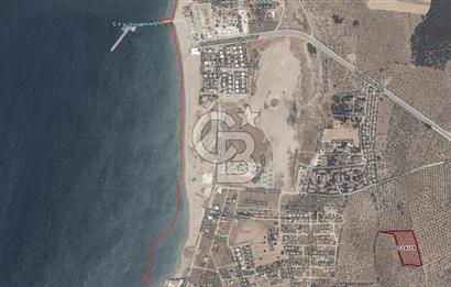 Çanakkale Geyikli'de Satılık Zeytinlik! Bozcaada Manzaralı