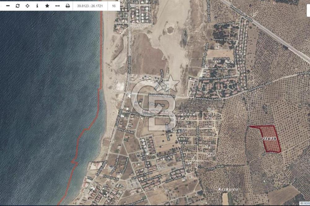 Çanakkale Geyikli'de Satılık Zeytinlik! Bozcaada Manzaralı