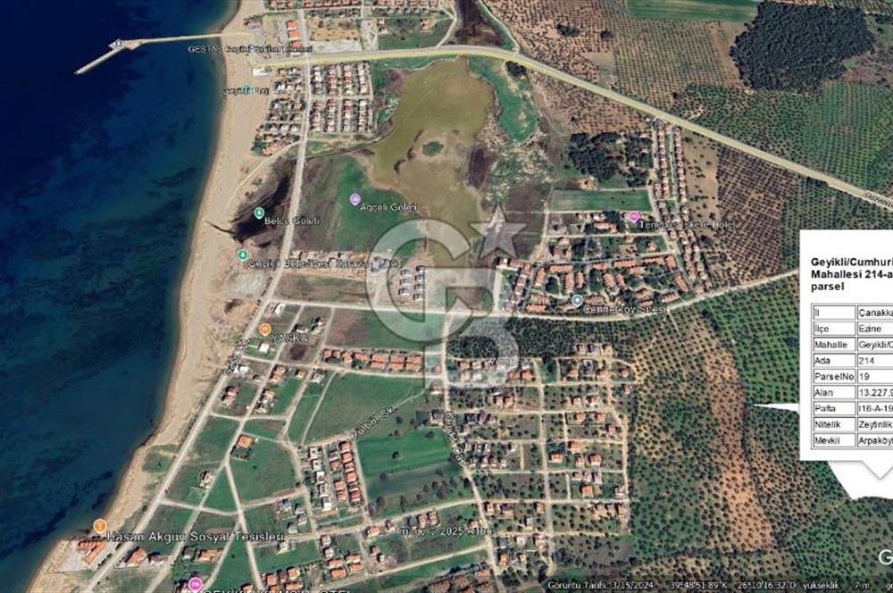 Çanakkale Geyikli'de Satılık Zeytinlik! Bozcaada Manzaralı