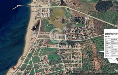Çanakkale Geyikli'de Satılık Zeytinlik! Bozcaada Manzaralı