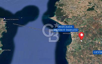 Çanakkale Geyikli'de Satılık Zeytinlik! Bozcaada Manzaralı